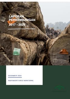 Laporan Perkembangan IFM 2017-2020