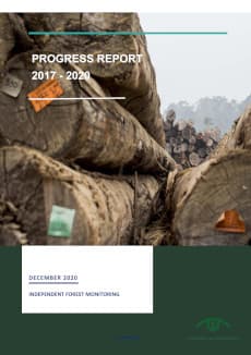 progress report IFMF 2017-2020