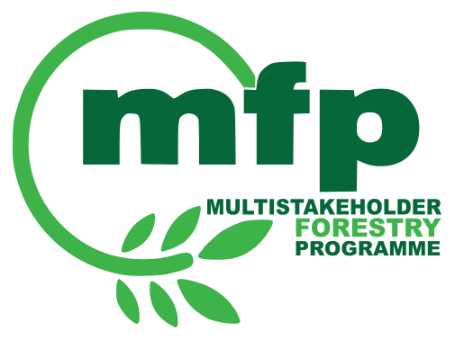 MFP Programme